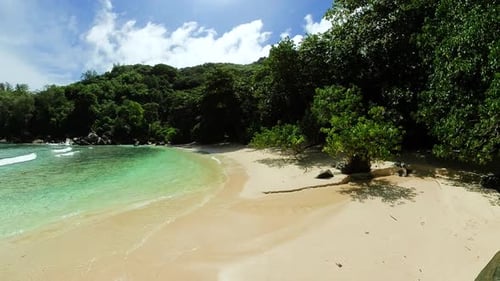 Hidden Tropical Beach with Lush Greenery and Clear Turquoise Waters Seychelles Mahe