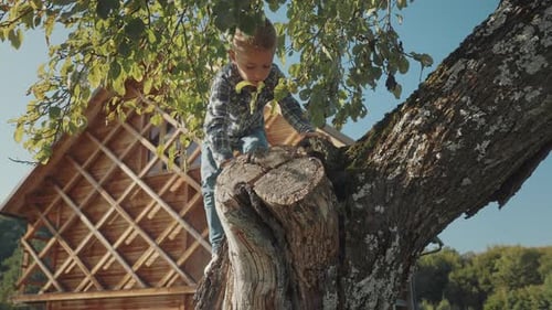 Kleiner Junge klettert auf einem kleinen Bauernhof auf den Apfelbaum.