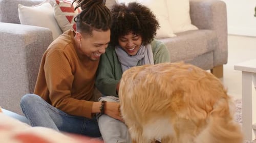 Casal sentado no tapete da sala de estar, estendendo a guloseima para cães e acariciando o golden retriever de brincadeira