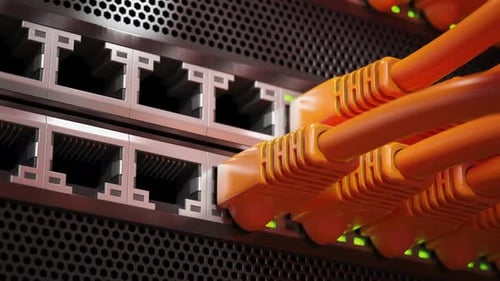 A Row of Lan Ethernet Cable Plugging in Server or Router 3d Animation