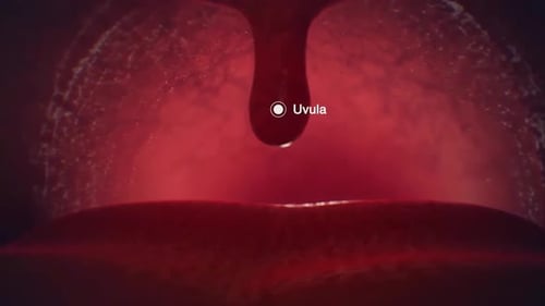 Gros plan de la lave rouge coulant dans un paysage volcanique sombre