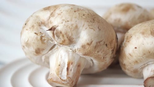 Fresh Champignons Mushroom in a White Bowl on Table