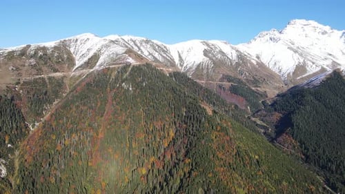 Autumn Trees Cascade Down Mountains towards Snow Peaks