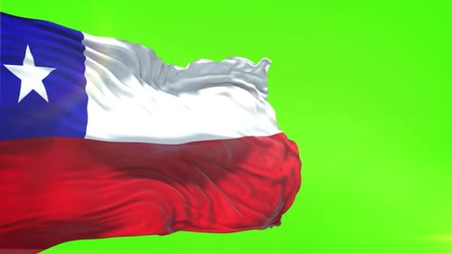 Realistic Waving Flag Green Screen Animation