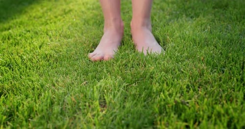Women's Feet Barefoot in the Gentle Green Grass