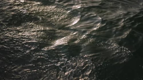 L'océan brille d'un éclat doré alors que le coucher du soleil dévoile ses teintes chaudes, créant une mer à couper le souffle