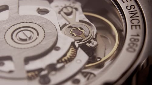 Internal Mechanisms of a Watch Working