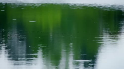 Raindrops Fall on the Water Surface