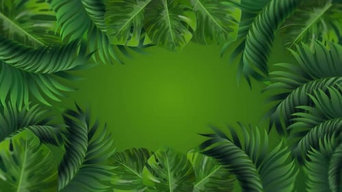 Abstract Tropical Backround | 4K