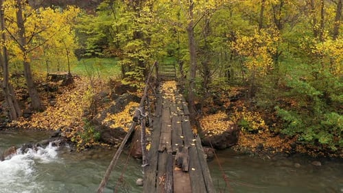 4K UHD - Beautiful autumn colors on the creek