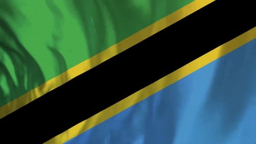 Tanzania Flag Fabric