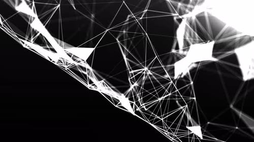 Digital Network .Plexus White Background