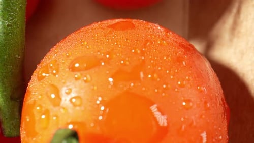 A close-up of a ripe tomato glistening with droplets of water