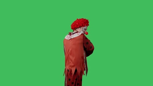 Funny Clown on Green Screen Chroma Key