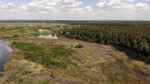 Floodplain River Delta Autumn Fall Color Meander Drone Aerial Inland Video Shot