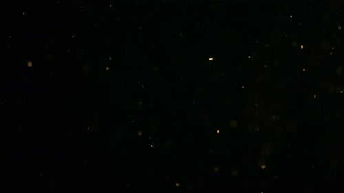 Snow Particles Effects on Black Background