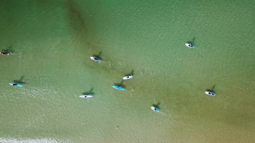 SUP surfers paddling along a Mediterranean coast