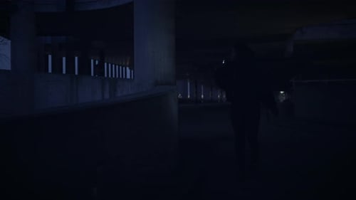 Silhouette Walks with Flashlight Under Highway at Night