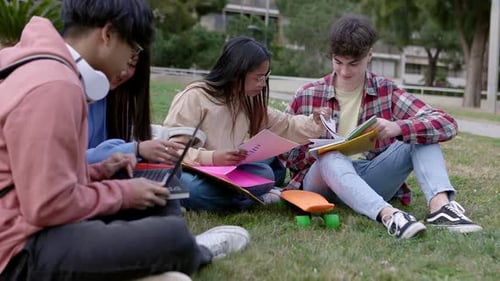 University Students Studying Together Sitting on the Grass at College Campus