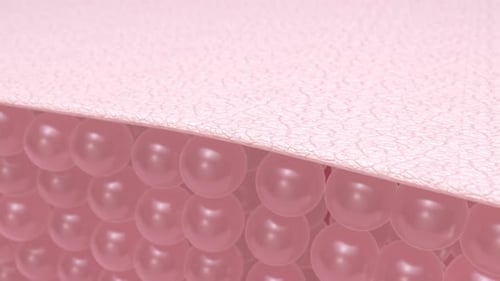 Cell layers before and after the skin renovation process. Effect of beauty treatment
