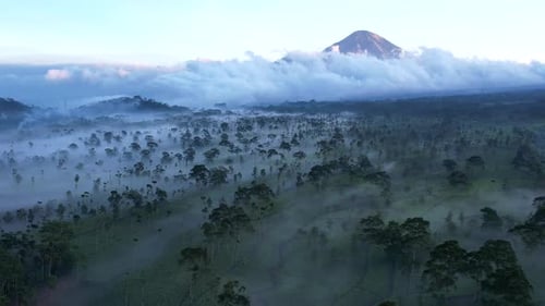 Sunrise Sumbing Mt