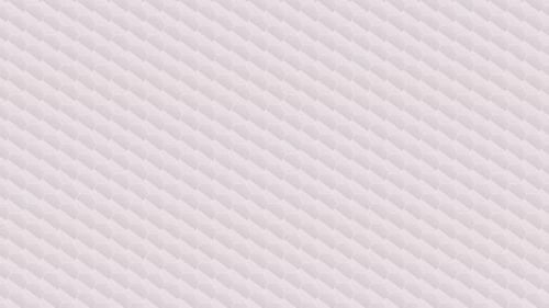 white background