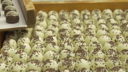 Fresh White and Milk Chocolate Truffles on Display