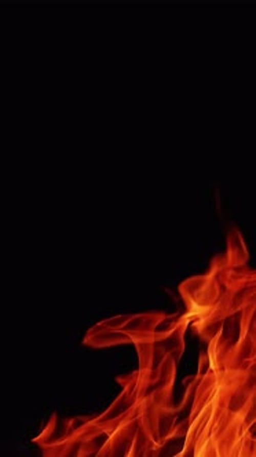 Flames of campfire stretch into the air. Beautiful view of bonfire isolated at black background.