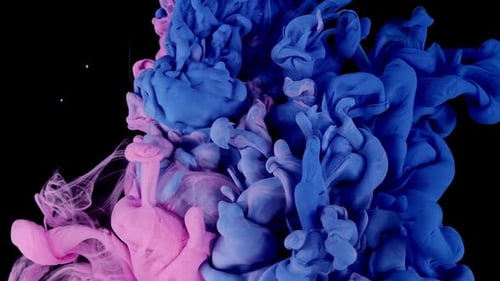 Abstract Ink Explosion of Pink and Blue on Black