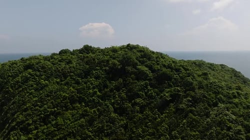 Dense Green Forest with Ocean Horizon Ko Pha Ngan Thailand