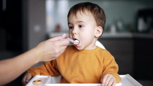 Toddler Being Fed Food in Kitchen