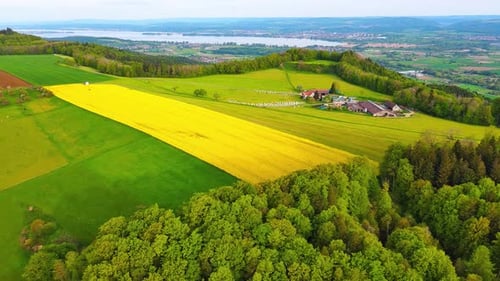 A Farm Stands on a Hill with Crop Fields White Bales of Hay and Pastures Surrounded By Forest