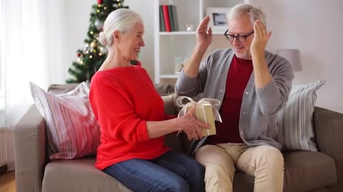 Senior Couple Exchanging Christmas Gift on Sofa