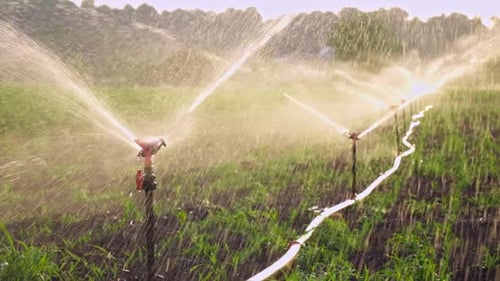 Field Irrigation