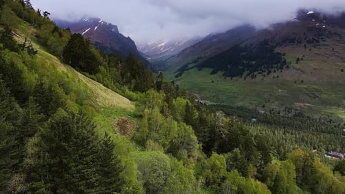 Luftaufnahme eines wunderschönen grünen Bergtals, das mit Nadelwald bedeckt ist