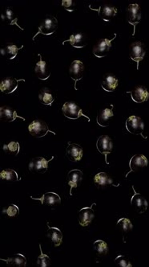 Realistic Falling Eggplants for Food and Cooking Videos