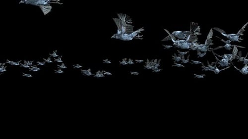 Flock of Abstract Metallic Birds Flying Animation