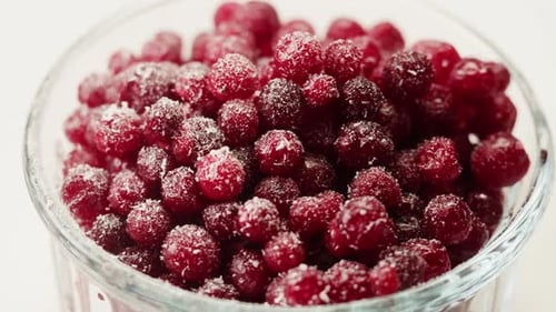 Frozen Cranberries in Snow for Tea Background Close Up of Cranberry Berries in Winter Park Ice