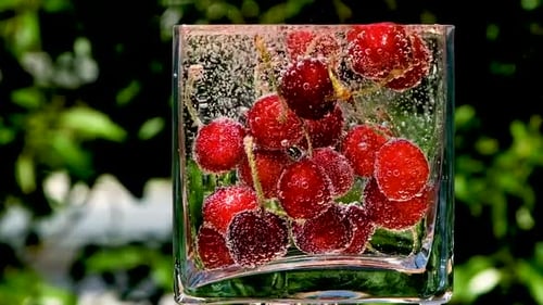 Cherries Glass Cup