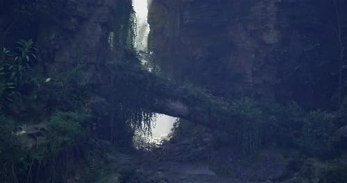 Mysterious Woodland Gorge with Lush Foliage and Misty Light