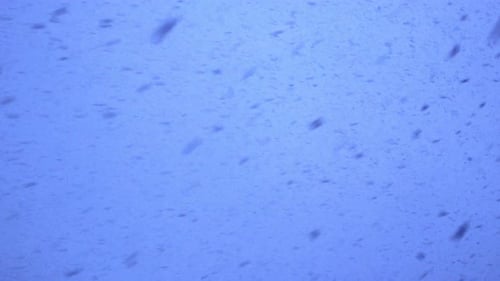 Snowstorm