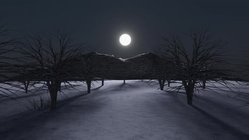 Winter Night Forest with Full Moon and Bare Trees Animation