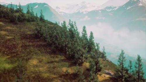 Vista panorâmica: majestosa cordilheira e floresta