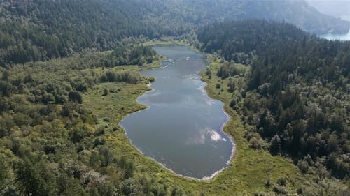 Aerial View of Lake and Green Trees in Forest Around Mountain Landscape