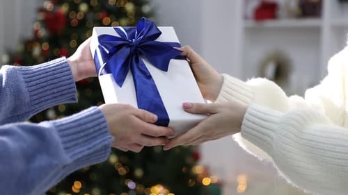 Present Exchange Between Friends near Christmas Tree Indoors