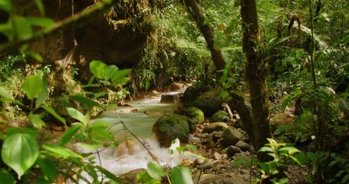 Blue river water rushes over rocks bordered by massive boulders and lush green tropical plants in ra