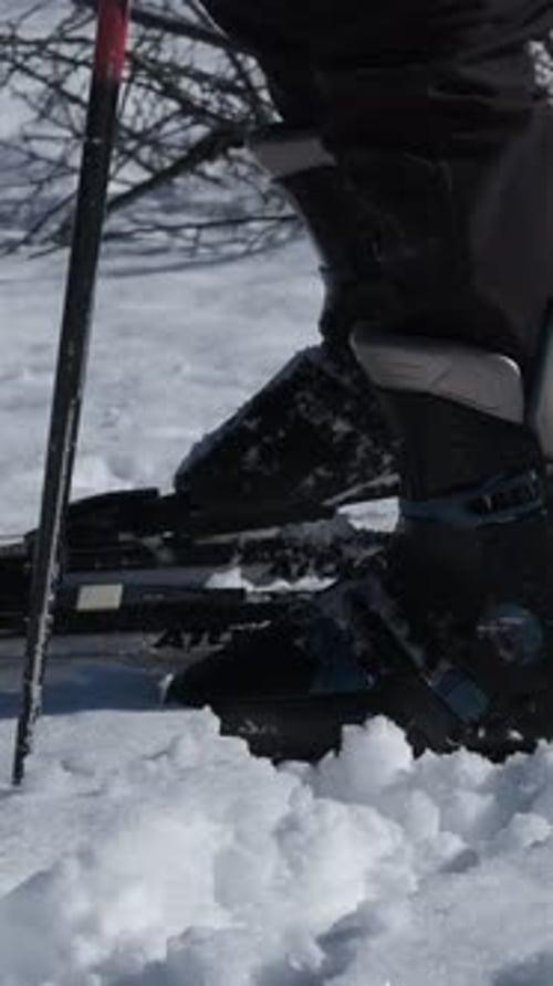 Skiing Gear Closeup
