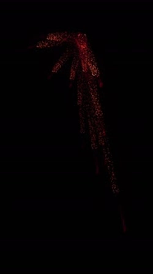 Aerial Sparks Explosion (15)