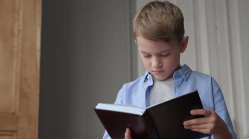 Boy reads literature with interest and concentration close-up in domestic interior