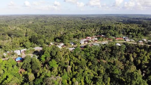 Forest And Village